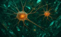intricate auditory neurons, engaging, evolving, photorealistic, amidst a crystalline labyrinth, highly detailed, fiber optic transfers, micro view, emerald and amber, spotlight lighting, shot with a 100mm lens.